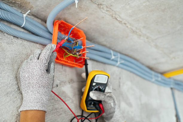 Best Electric Panel Repair  in Belgium, WI